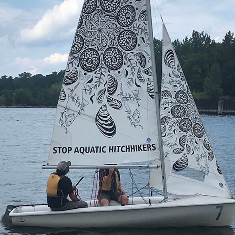 Stop Aquatic Hitchhikers Art Sail