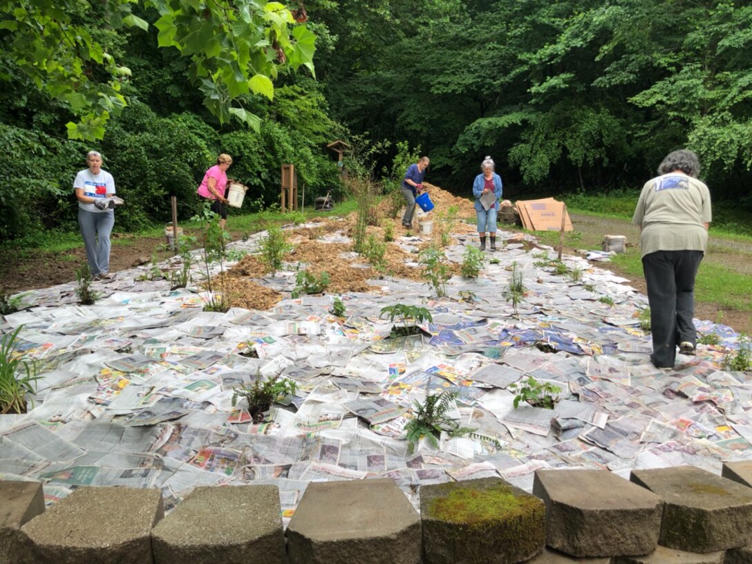 Native Pollinator Garden at Sutton Lake