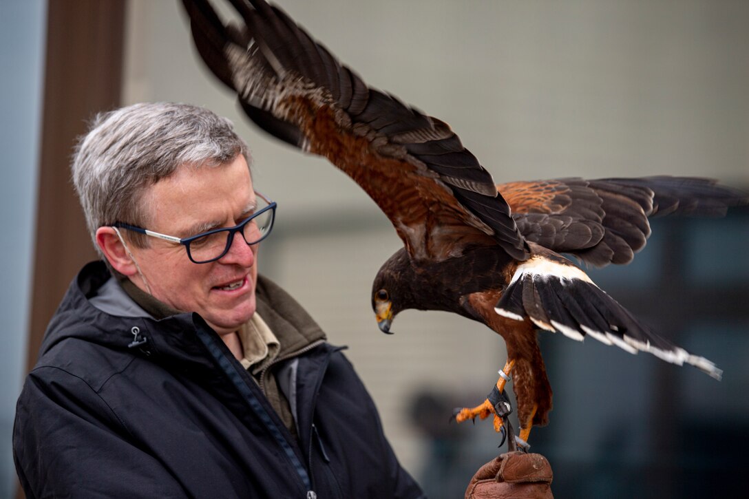 Jens Fleer, 52nd Fighter Wing base falconer, prepares to launch his male hawk for a demonstration for members of the 726 Air Mobility Squadron at Spangdahlem Air Base, Germany, March 5, 2021.