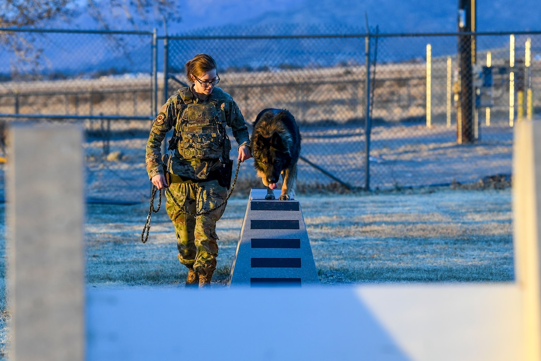 An airman walks beside a dog negotiating an obstacle in a yard.