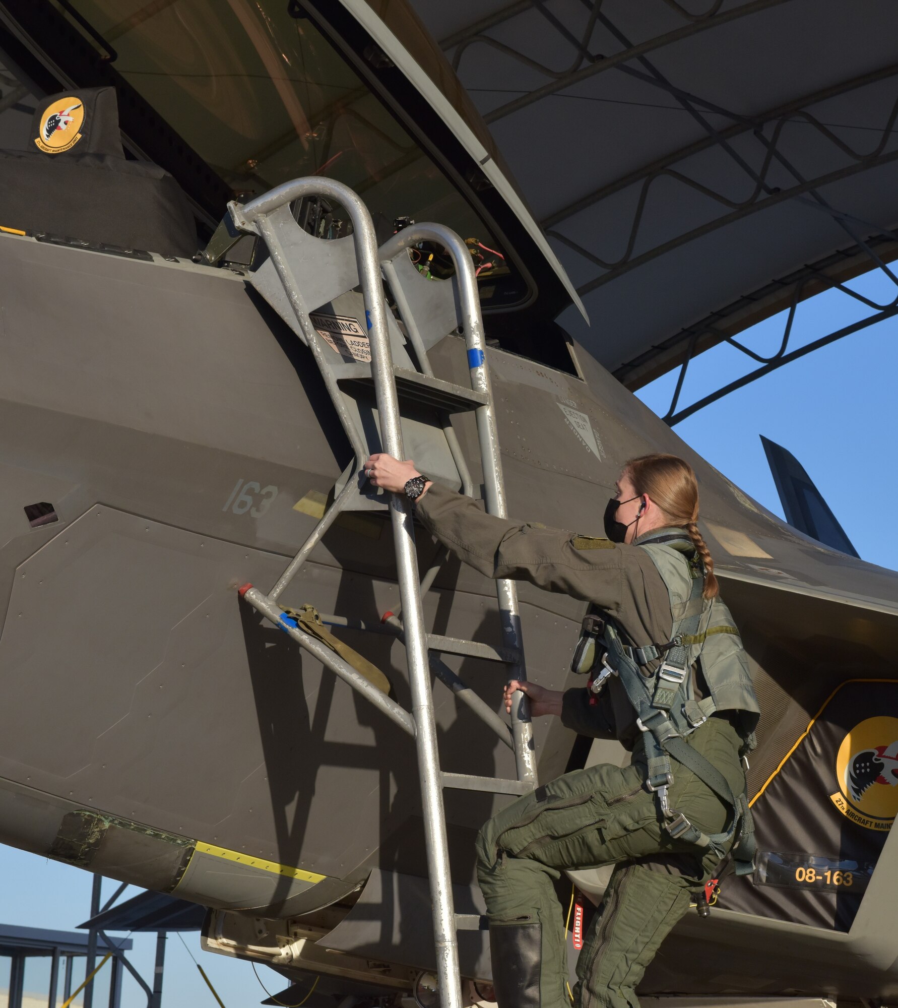 Pilot climbs stairs