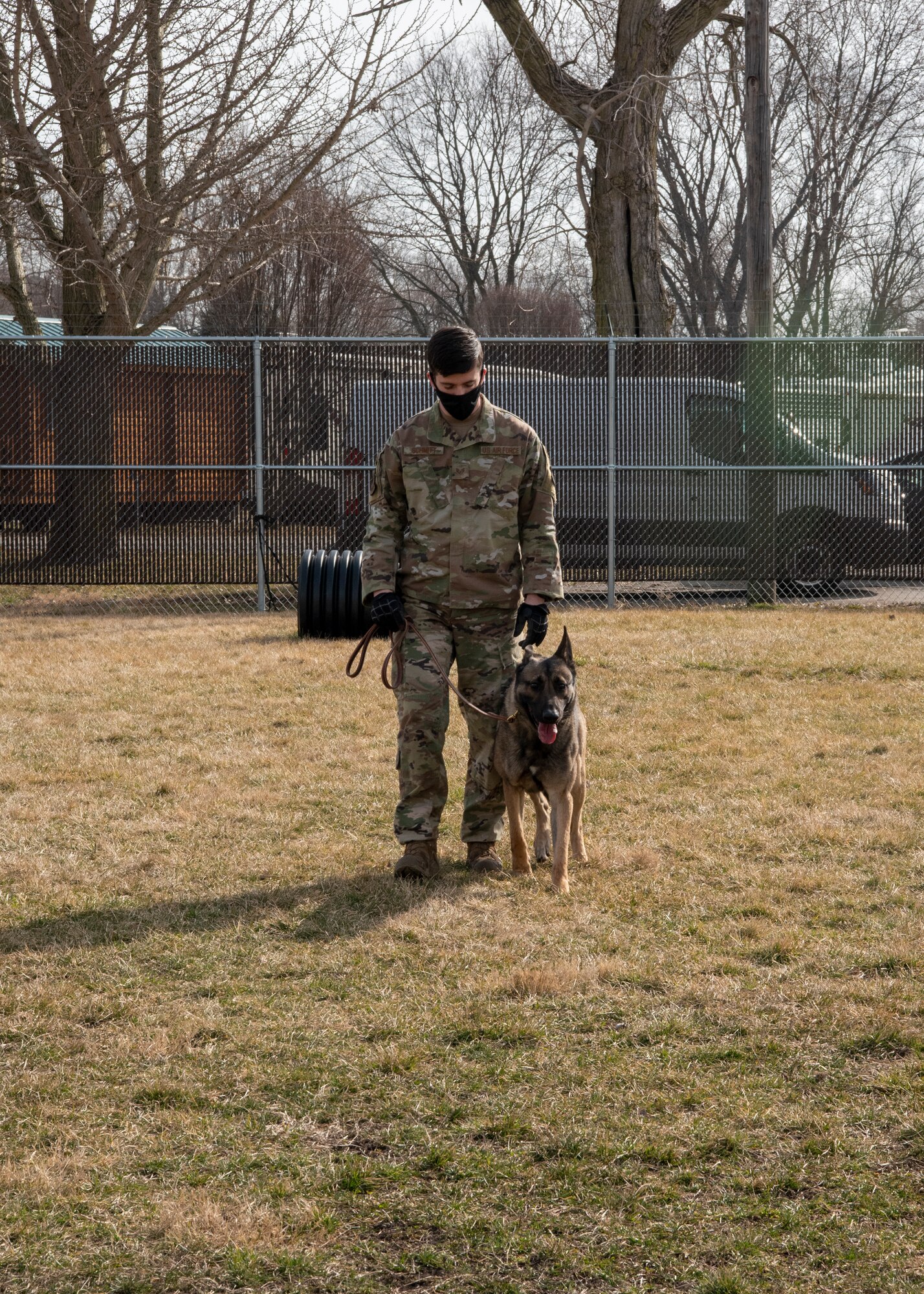 Military Working Dog Flex looks up at his handler