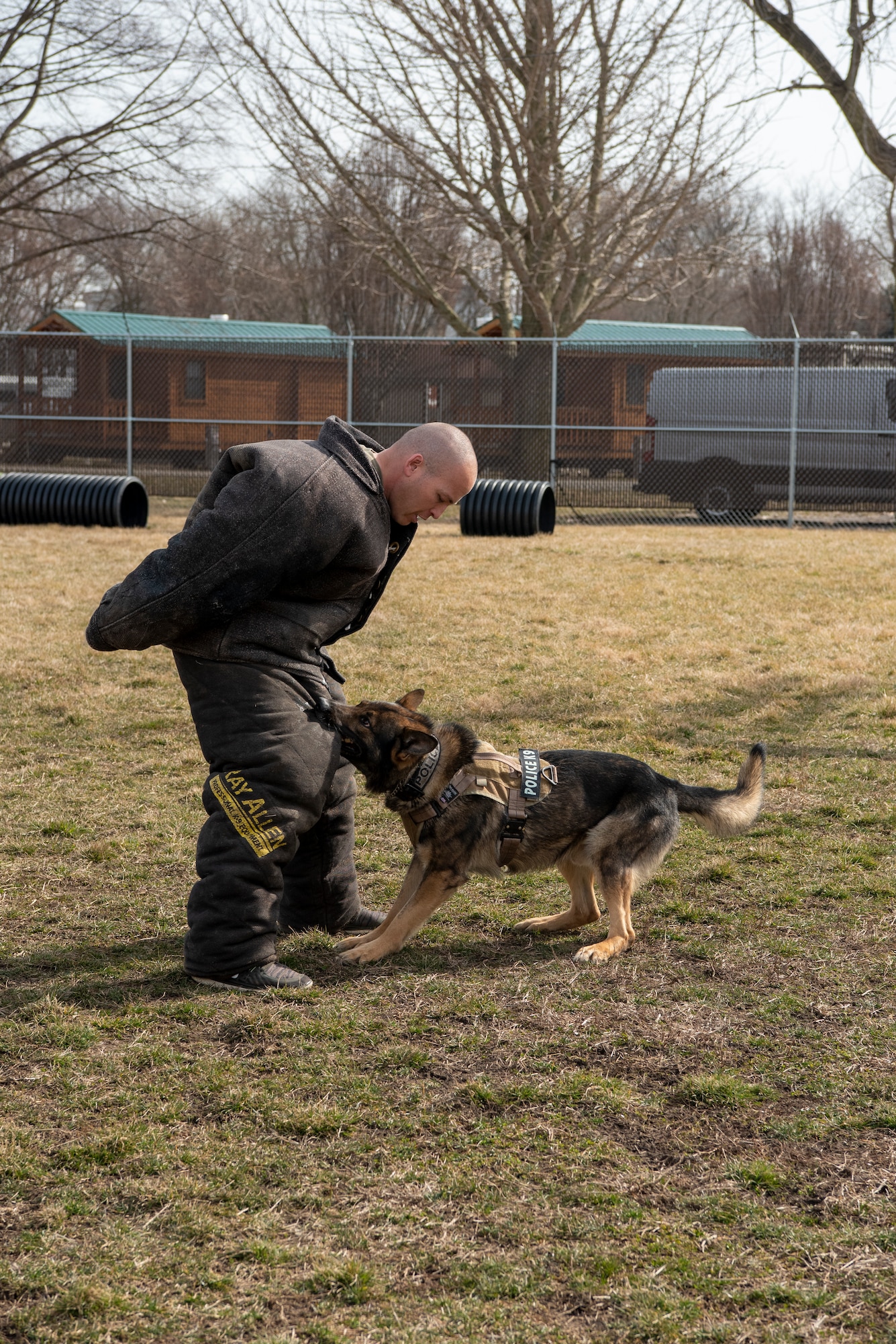 Military Working Dog Flex looks up at his handler