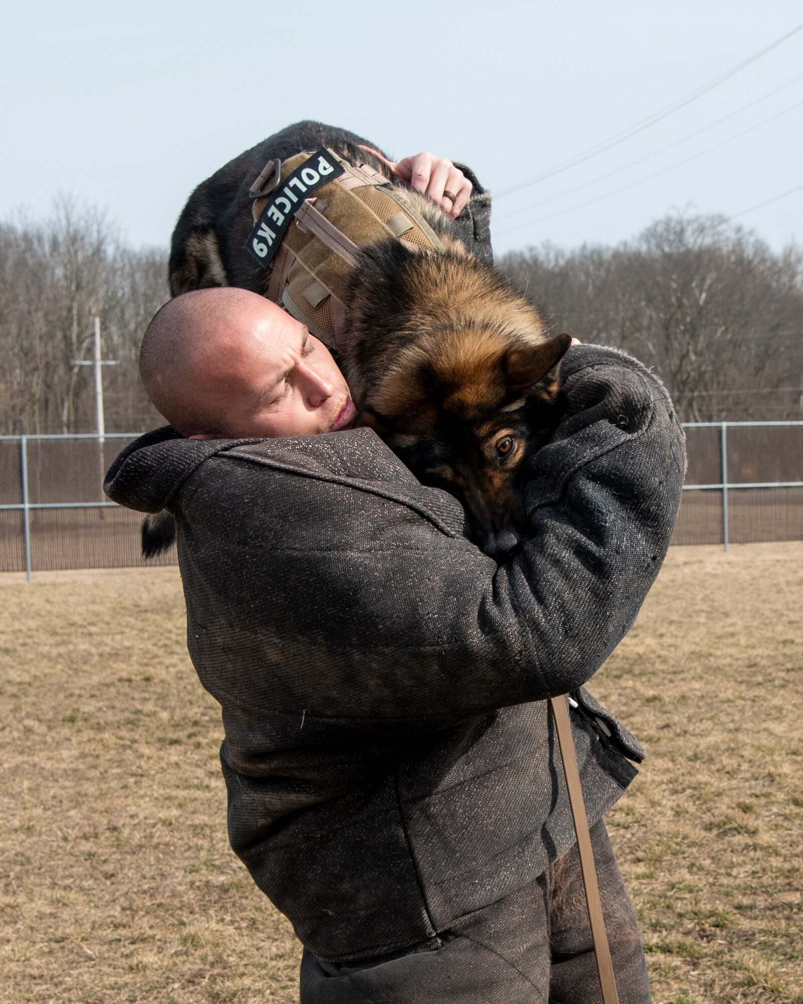 Military Working Dog Flex looks up at his handler