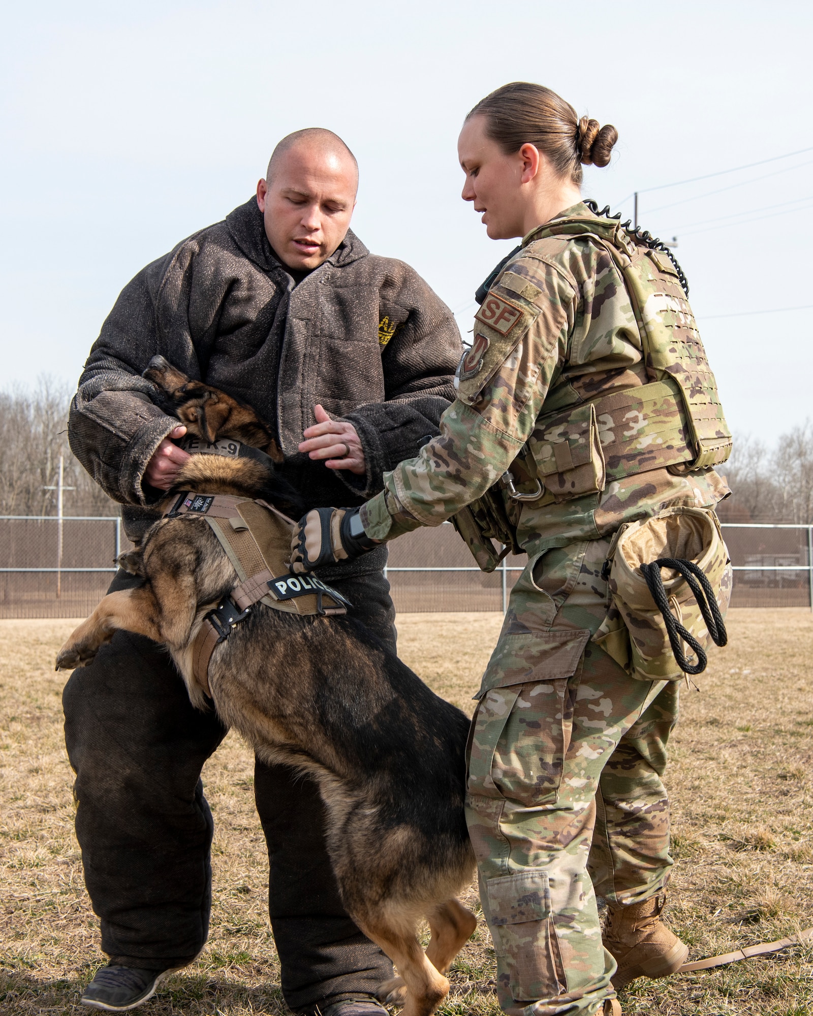 Military Working Dog Flex looks up at his handler