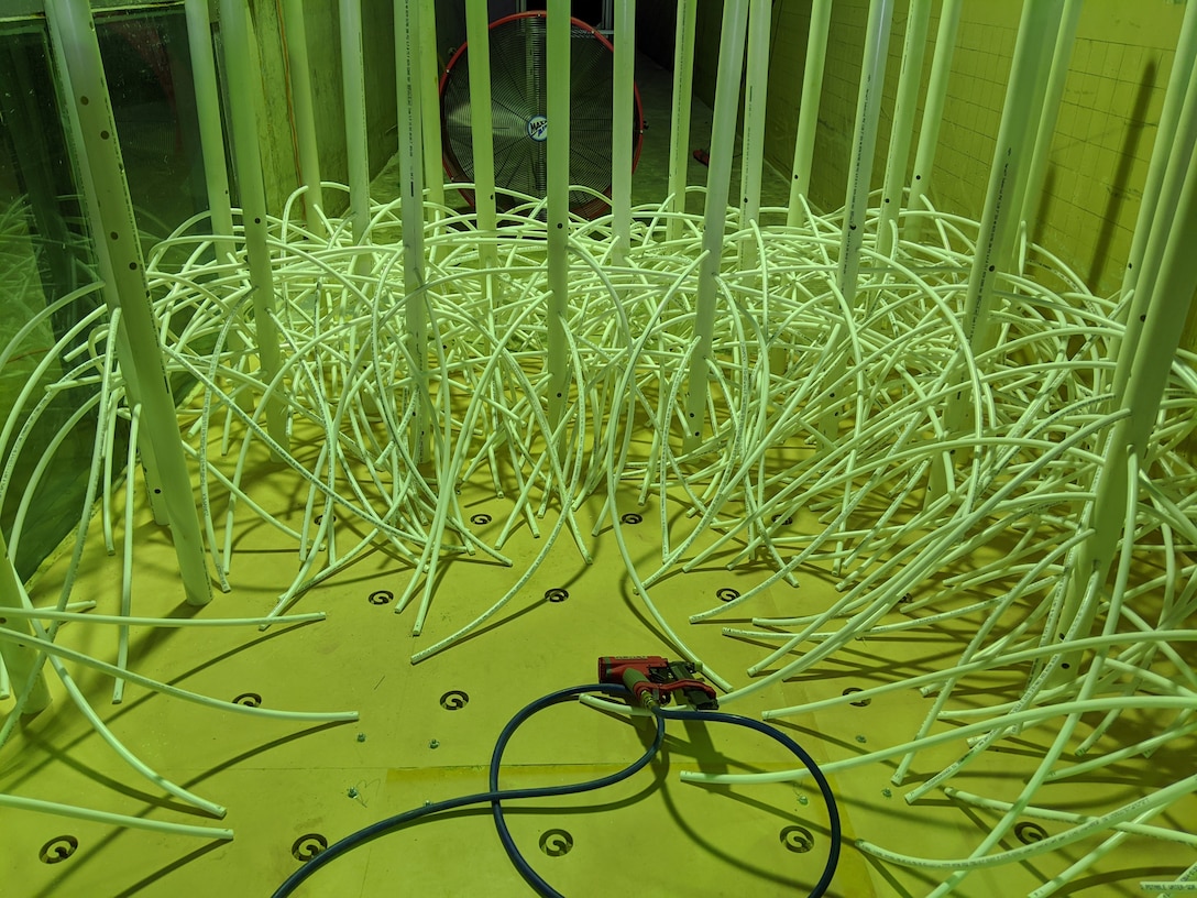 A section of the 1:2 scale model of one of Florida’s coastal mangrove forest built by researchers at the U.S. Army Engineer Research and Development Center (ERDC) shows the intricacy of the mangrove roots. The ERDC team partnered with the U.S. Army Corps of Engineers Jacksonville District and the U.S. Naval Academy to explore the engineering value of the forest in reducing flood and storm risk.  (U.S. Army Corps of Engineers photo)