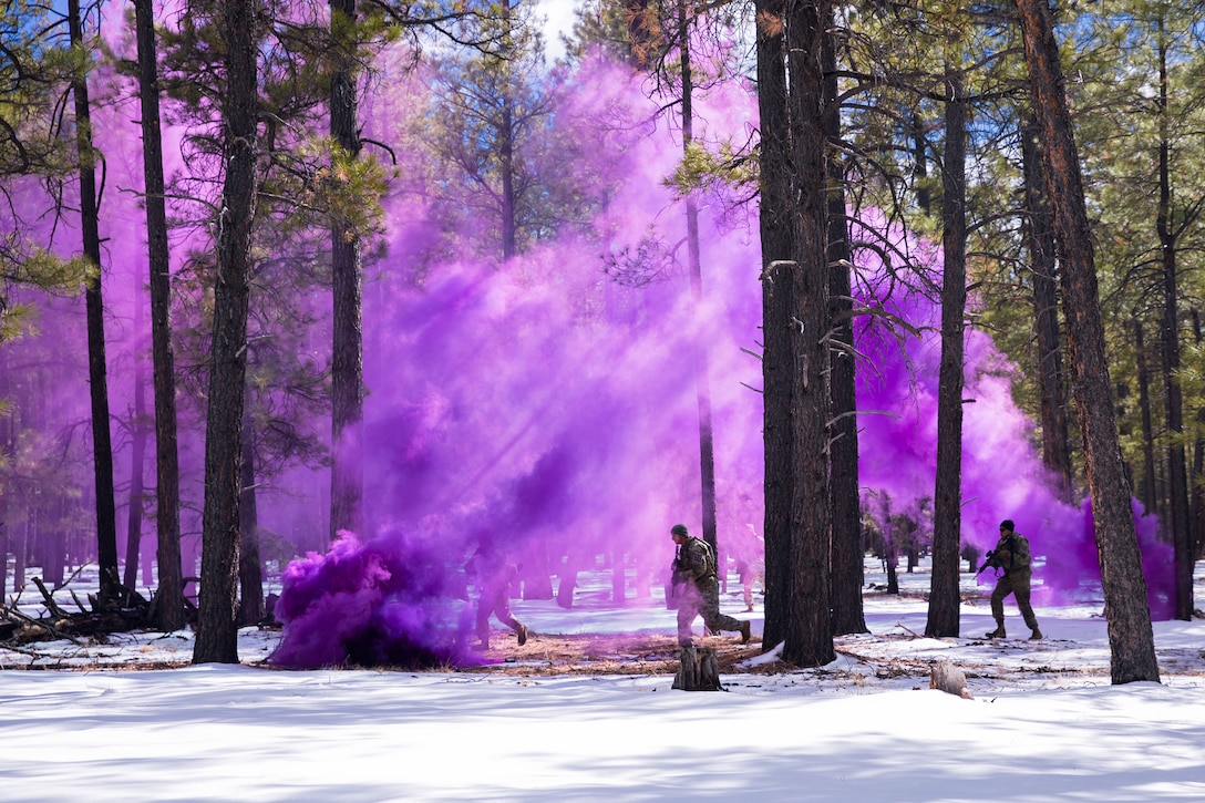 Purple smoke billows from a grenade as three soldiers run through the woods.