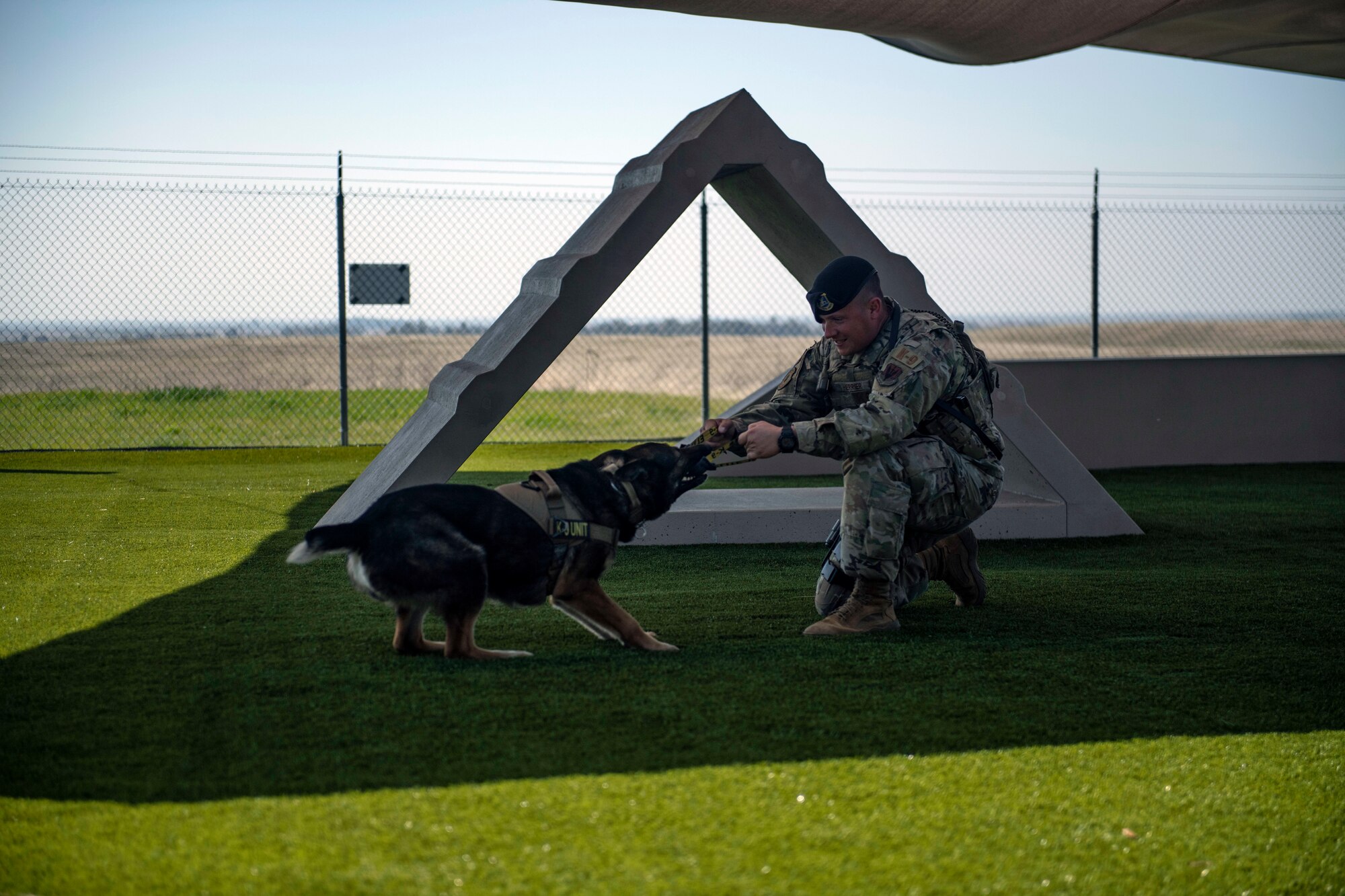 Staff Sgt. Jason Herrier, 9th Security Forces Squadron (SFS) military working dog (MWD) handler and Bady 2, 9th SFS MWD play together on Beale Air Force Base.