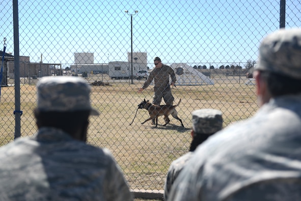 U.S. Air Force Senior Airman William Morris, 97th Security Forces Squadron Military Working Dog (MWD) handler, demonstrates a training exercise with his MWD Dex, as Air Force Junior Reserve Officers' Training Corps (AFJROTC) cadets watch at Altus Air Force Base, Oklahoma, March 10, 2021. During the exercise, handlers and the MWD demonstrate various tactics used in real life situations. (U.S. Air Force photo by Airman 1st Class Kayla Christenson)