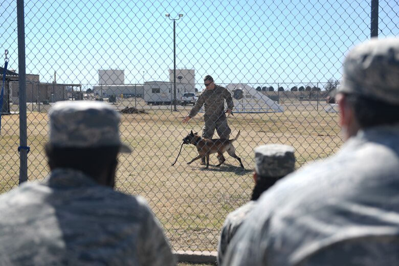 U.S. Air Force Senior Airman William Morris, 97th Security Forces Squadron Military Working Dog (MWD) handler, demonstrates a training exercise with his MWD Dex, as Air Force Junior Reserve Officers' Training Corps (AFJROTC) cadets watch at Altus Air Force Base, Oklahoma, March 10, 2021. During the exercise, handlers and the MWD demonstrate various tactics used in real life situations. (U.S. Air Force photo by Airman 1st Class Kayla Christenson)
