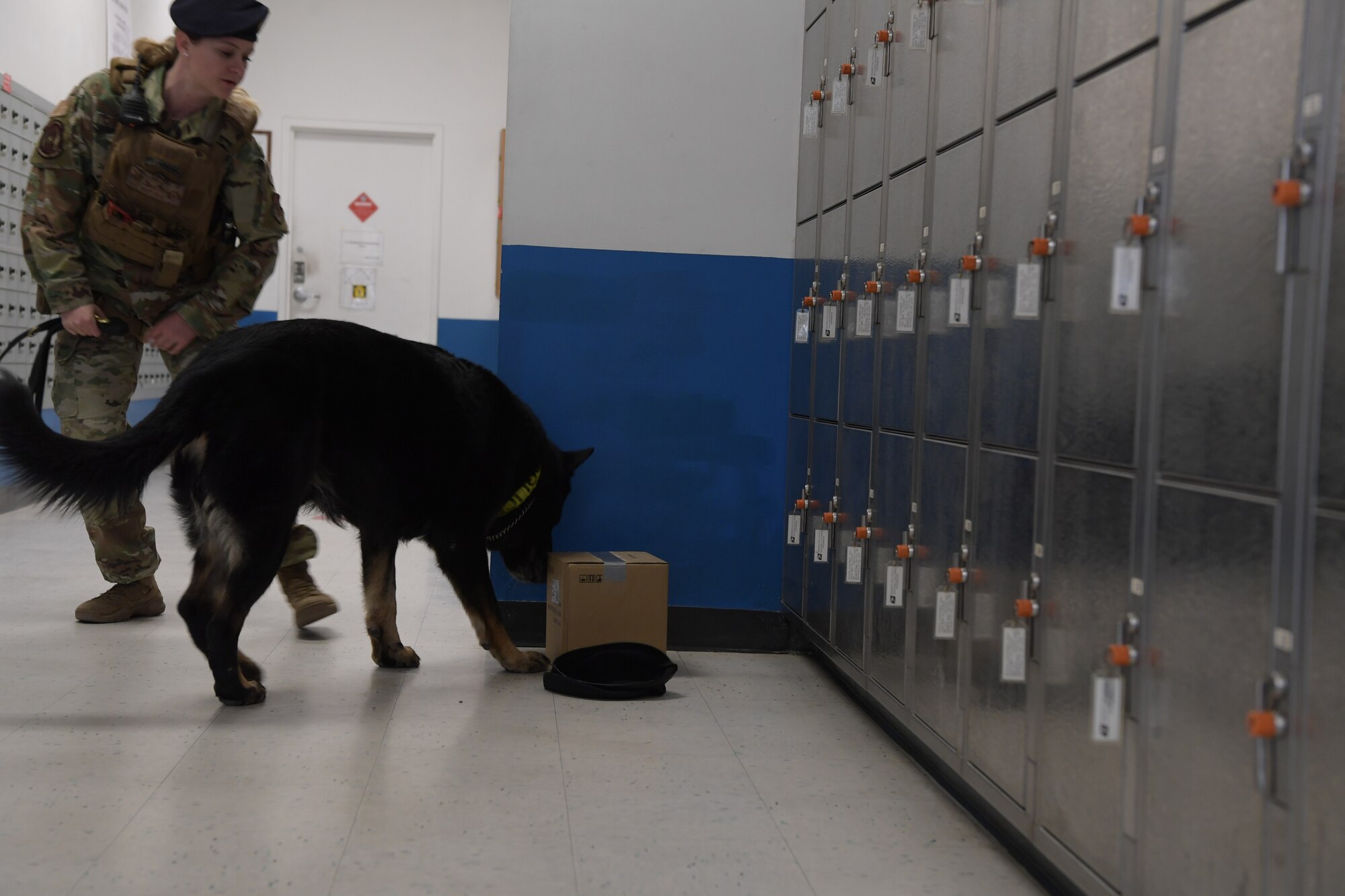 The base held a routine training for a suspicious call