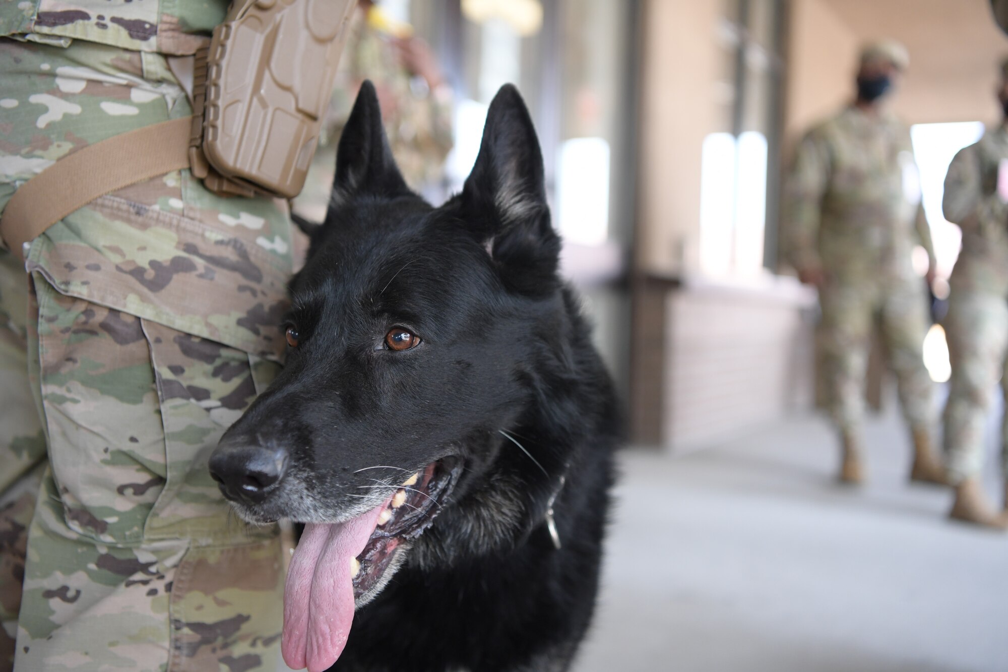 The base held a routine training for a suspicious call