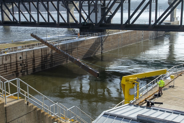ERDC researcher uses sound to sustainably deter invasive Asian carp in USGS project