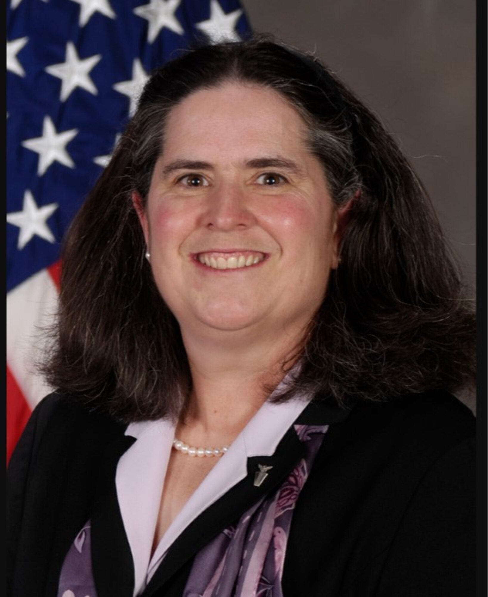 Heidi H. Bullock is a member of the Senior Executive Service, the Director of Contracting at Headquarters Air Force Materiel Command, Wright-Patterson Air Force Base.