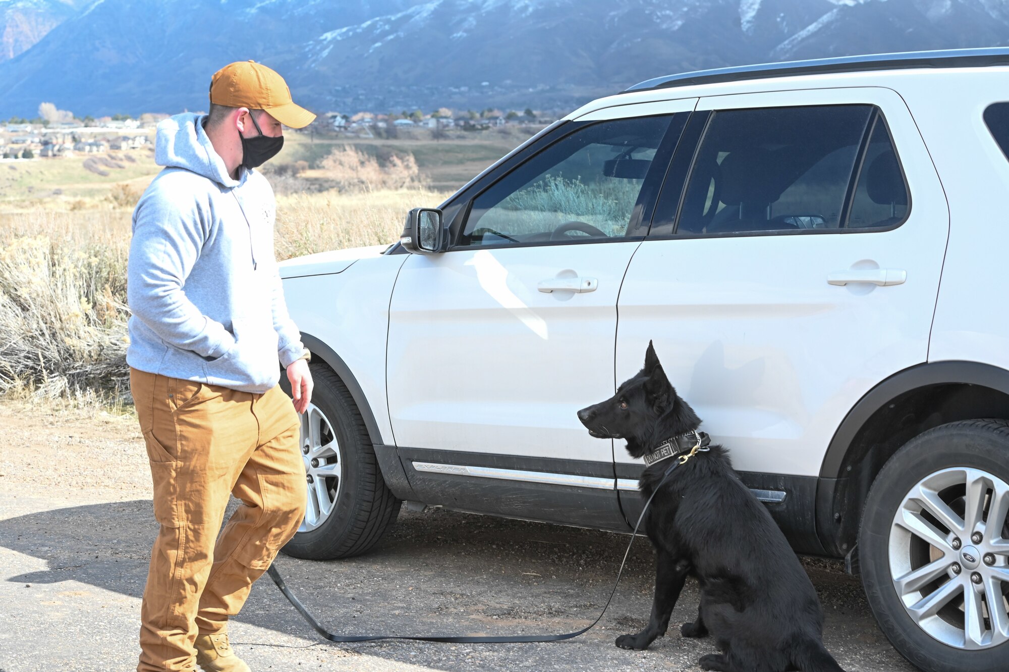 Military Working Dog Tusko, 75th Security Forces Squadron, demonstrates an indication sign that he has sniffed out drug materials in a vehicle during training with his handler, Senior Airman Brendan Smith, March 10, 2021, at Hill Air Force Base, Utah.(U.S. Air Force photo by Cynthia Griggs)