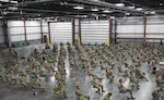 More than 1,300 members of the Indiana National Guard assist with testing and other measures to limit the spread of COVID-19. (Spc. Jules Iradukunda, Indiana National Guard, Oct. 30, 2020)