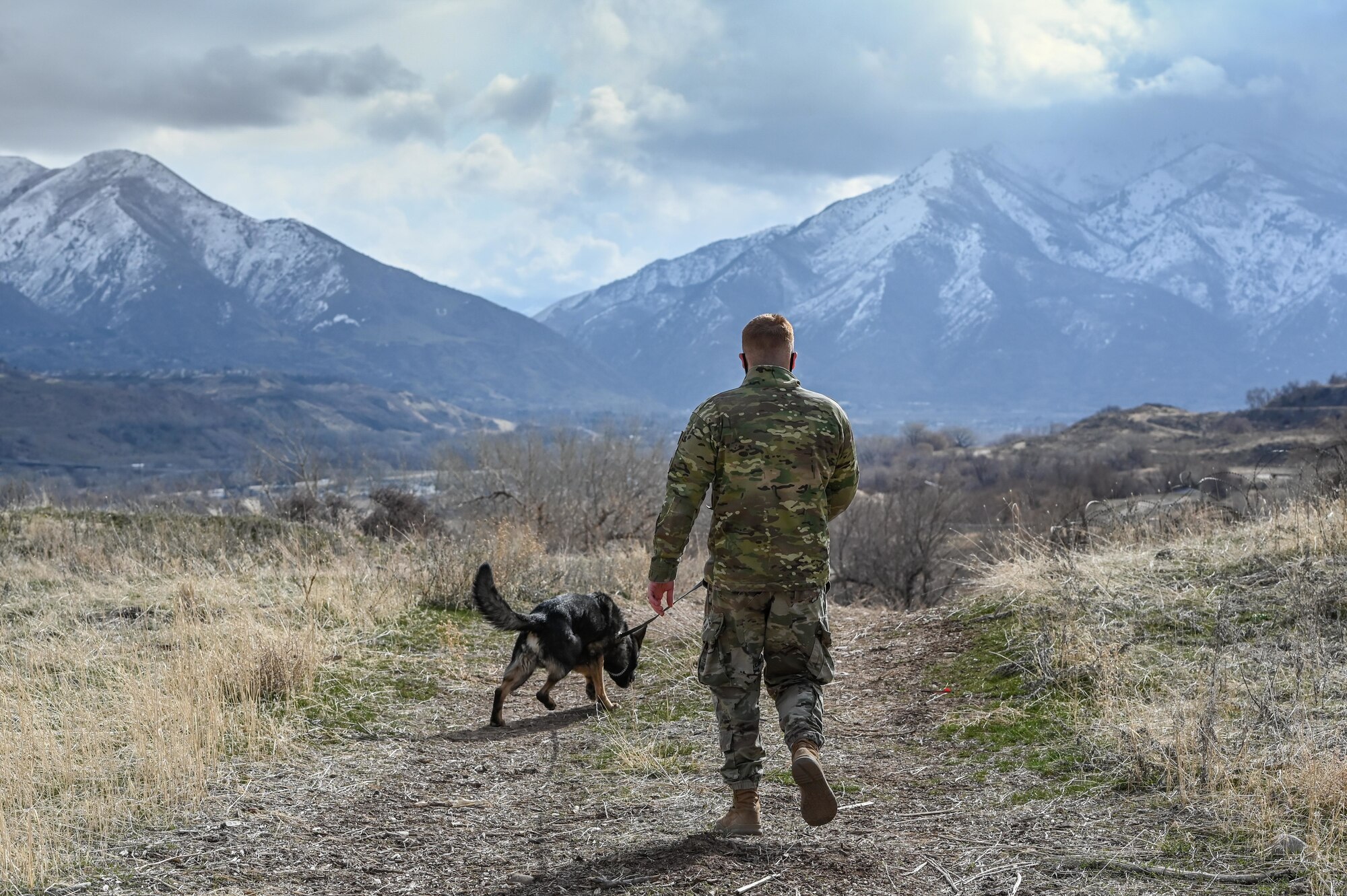Staff Sgt. Patrick Cushing, a military working dog handler with the 75th Security Forces Squadron, and MWD Jimo during explosive device detection training March 10, 2021, at Hill Air Force Base, Utah.(U.S. Air Force photo by Cynthia Griggs)