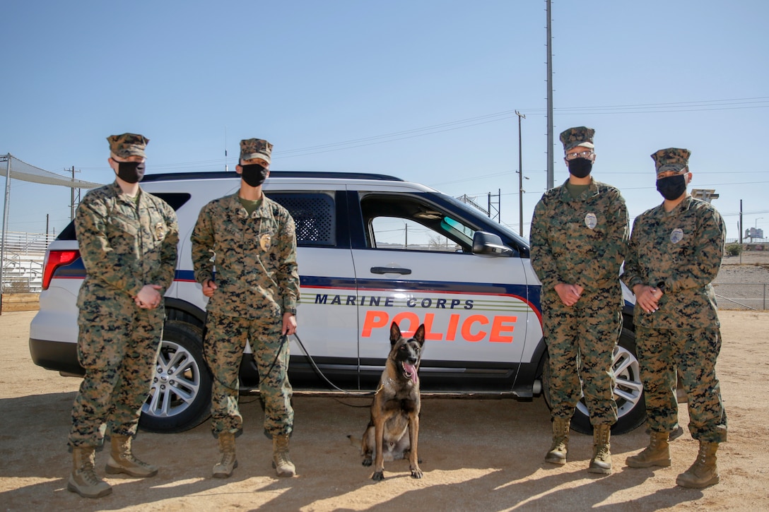 U.S. Marine Corps Lance Cpl.'s (from left to right) Hailey McPherson, operations clerk, Sole Ibarra, military working dog handler, Joe, Marine canine, Anya Hunter, patrol officer, and Sgt. Ana Santiago, Provost Marshal's Office noncommissioned officer in charge, pose for a photo at Sorensen Field on Marine Corps Logistics Base Barstow, California, March 4, 2021.