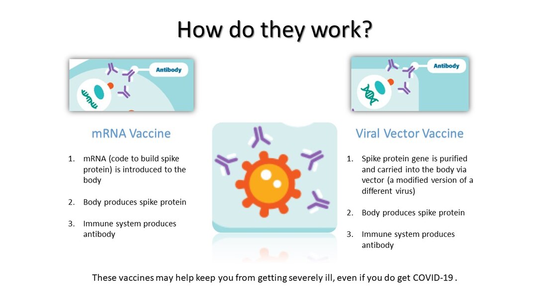 COVID-19 Vaccines - What you need to know