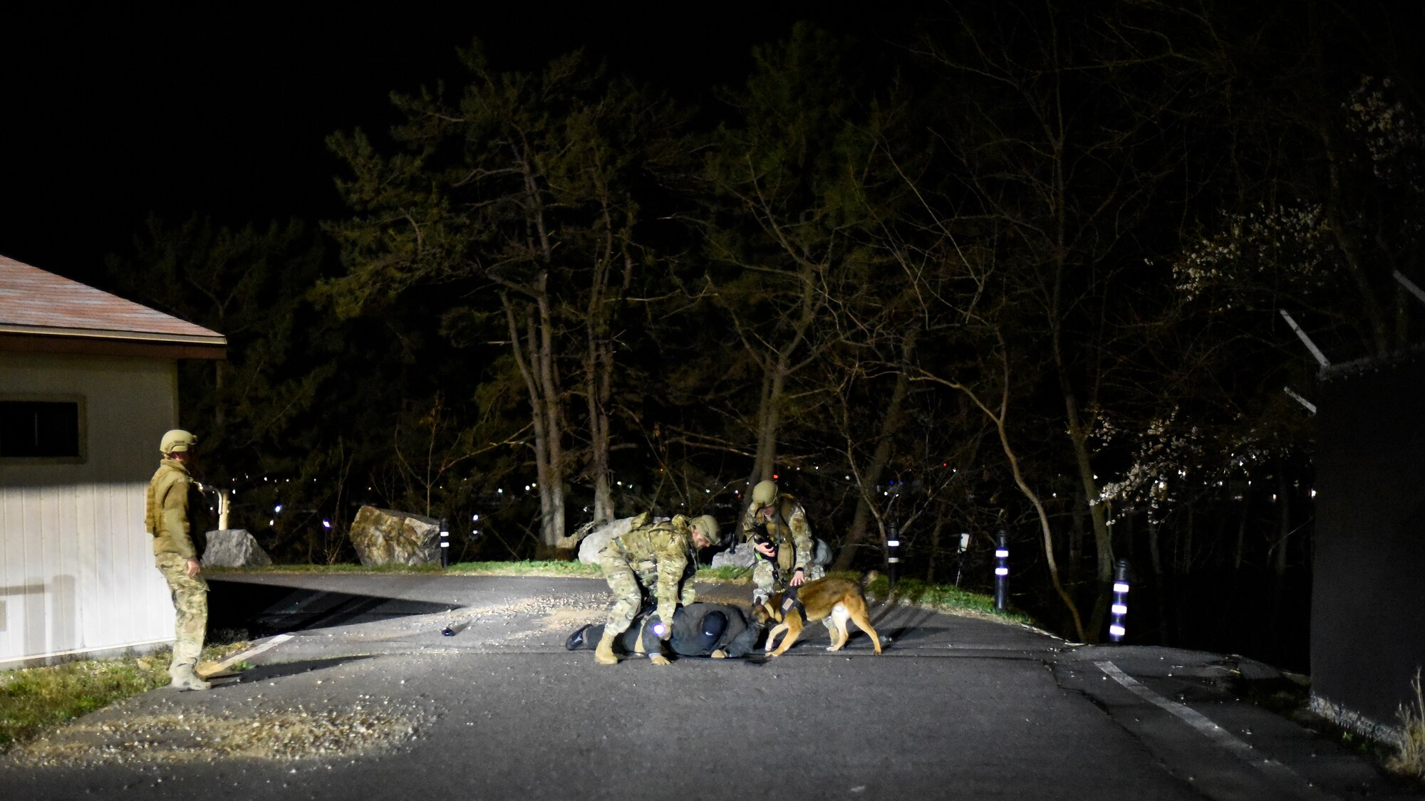Airmen detain a simulated adversary.