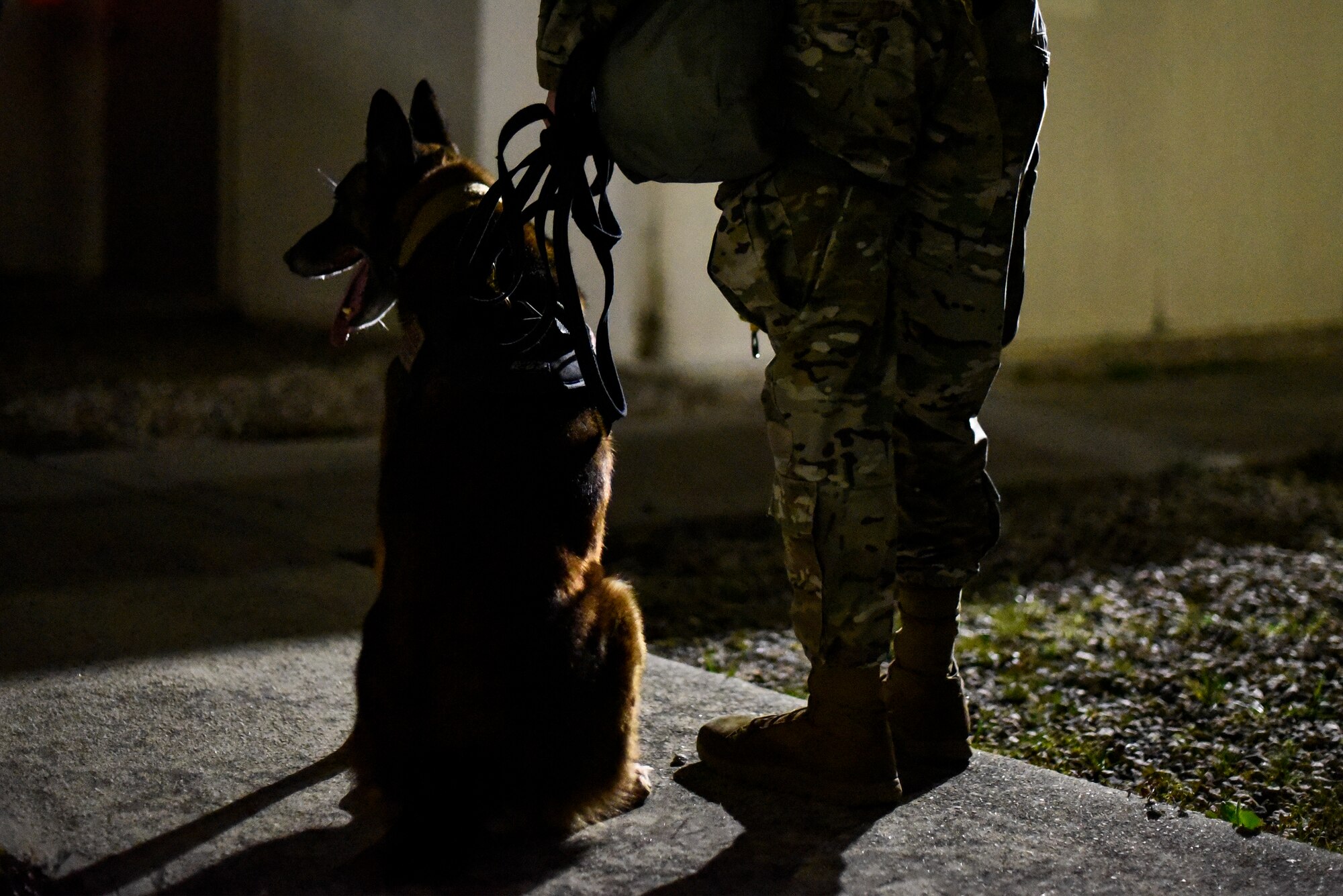 An Airman and a military working dog patrol an area.
