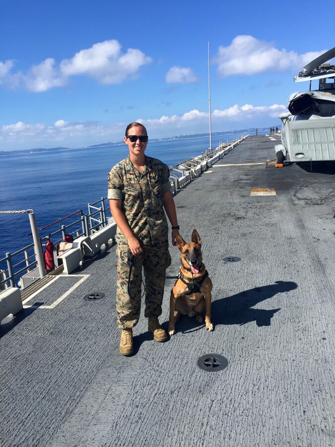 U.S. Marine Corps Sgt. Jenna Cauble, a military working dog (MWD) handler, was assigned to MWD Bbutler P283 in July 2015, where they served together at Marine Corps Base Smedley D. Butler, Okinawa, Japan, until November 2017. Bbutler was retired from military service in May 2020, and reunited with Cauble Feb. 3, 2021, who had put in adoption papers before returning to the U.S. in 2017. 

(Courtesy photo provided by U.S. Marine Corps Sgt. Jenna Cauble)