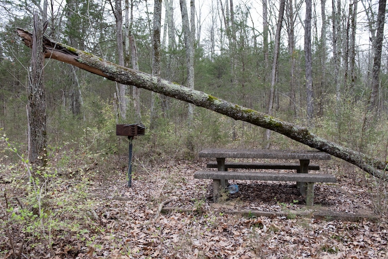 The U.S. Army Corps of Engineers Nashville District is evaluating a proposed action to lease the Cook Recreation Area on the shoreline of J. Percy Priest Lake in Hermitage, Tennessee, to provide the public with improved outdoor recreation opportunities.  The initiative could lead to the renovation and reopening of a 57-site campground closed in 2004. This is a campsite March 17, 2021 at the former campground in Hermitage, Tennessee, that has been overgrown by vegetation. (USACE Photo by Lee Roberts)