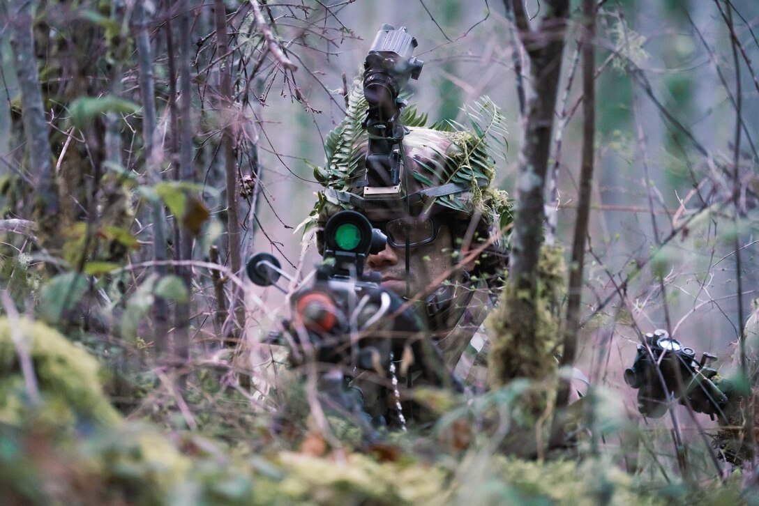 A soldier scans through a scope from behind brush.