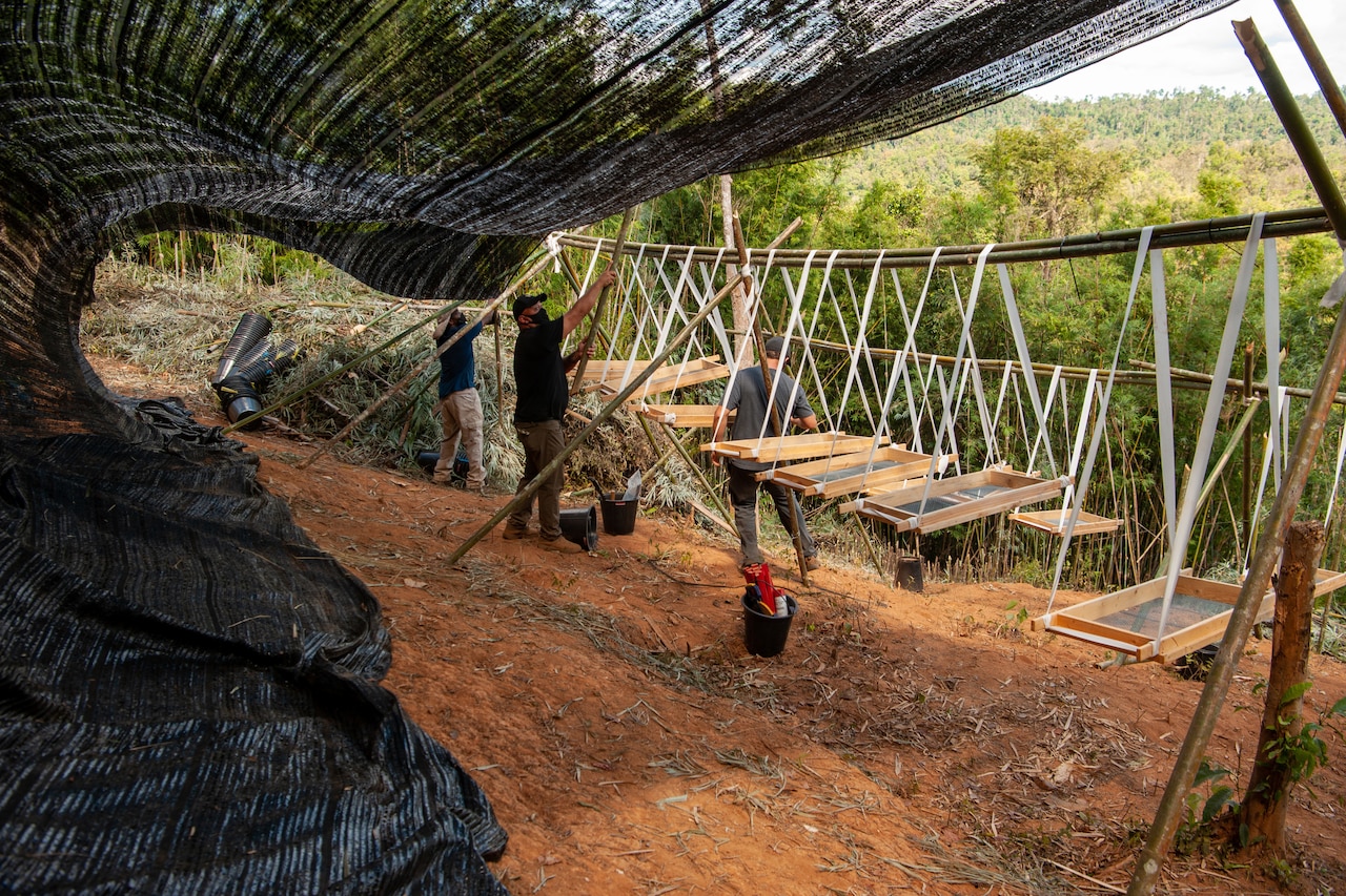 Troops build dirt screening stations in a wooded area.