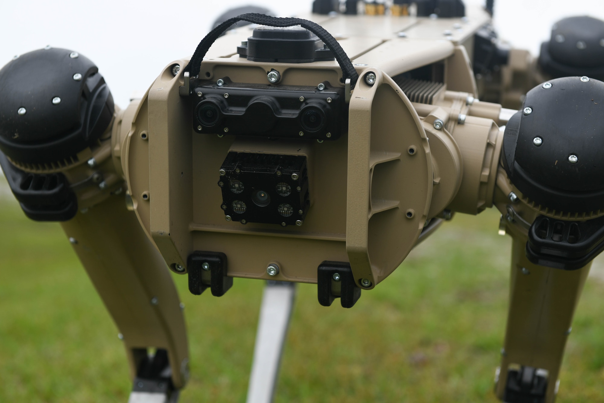 Pictured is a robot dog.