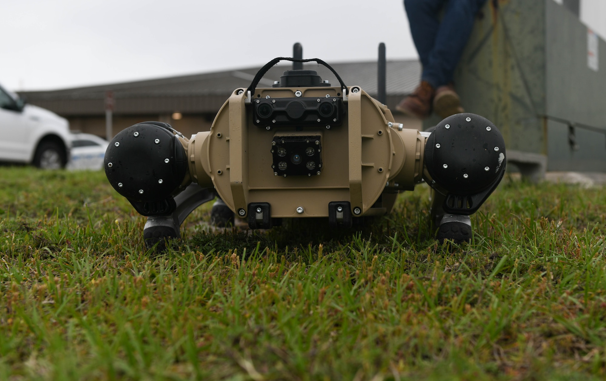 A robot dogs lays flat on the ground.