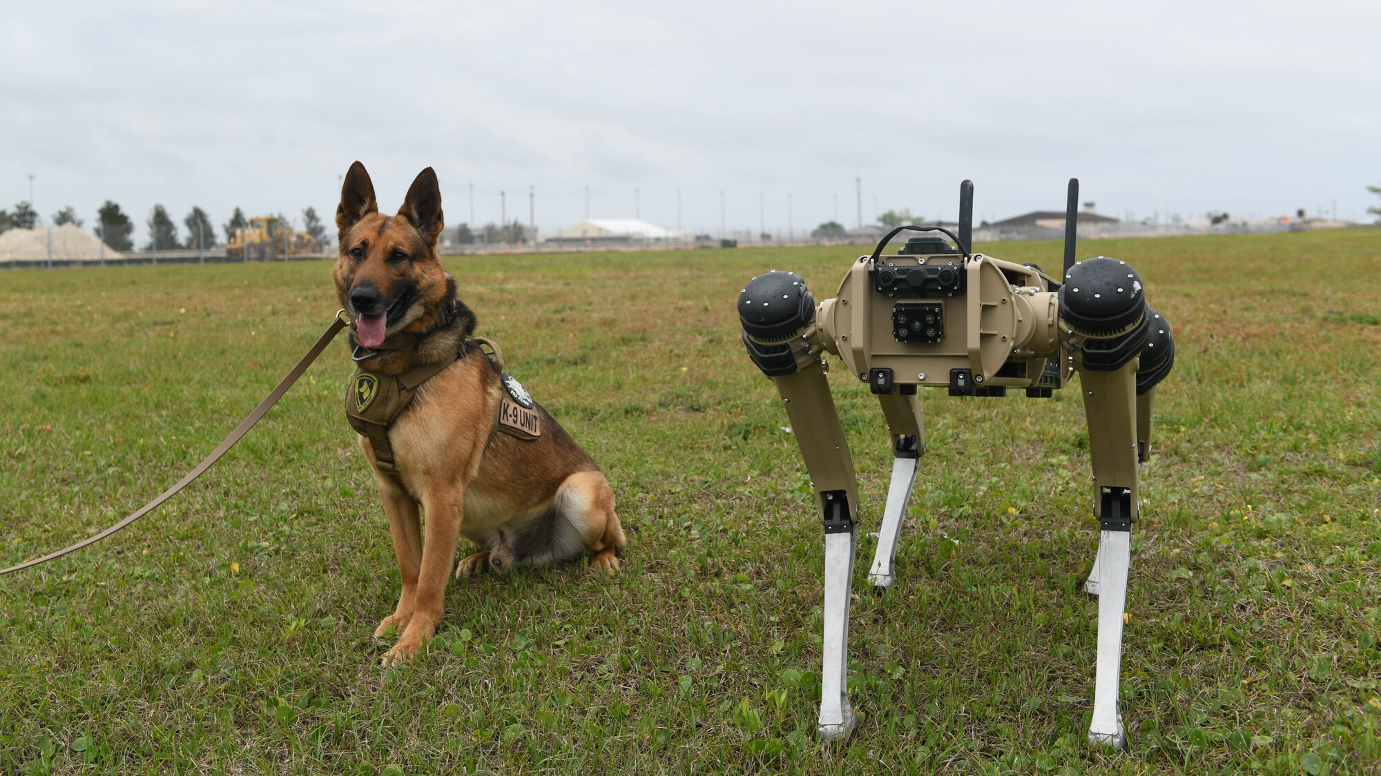 A robot and a military working dog pose.