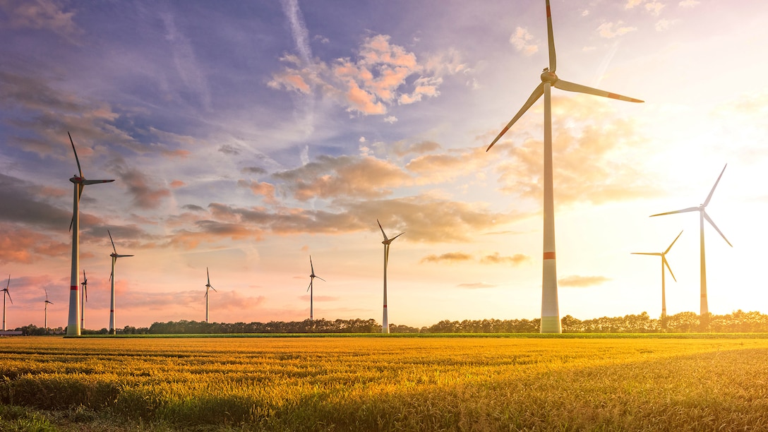 Wind turbine field