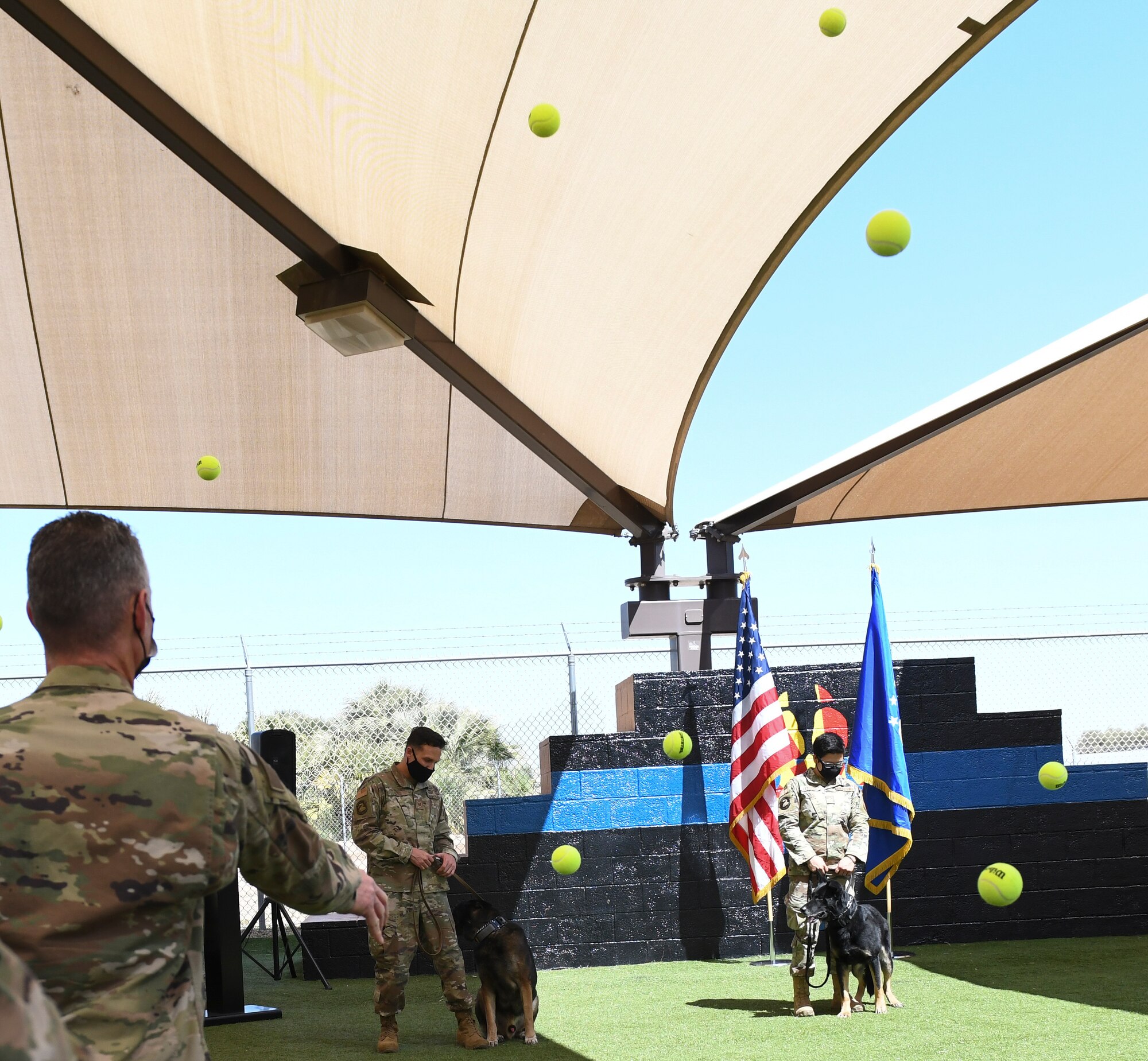 Rango, left, and Boss, right, 56th Security Forces Squadron military working dogs, participate in the ceremonial tennis ball throw during their retirement ceremony March 19, 2021 at Luke Air Force Base, Arizona. Both dogs are highly decorated working dogs. MWD Boss has multiple deployments and MWD Rango has assisted on several criminal apprehensions and located over $20,000 in narcotics. As the Air Force prepares to retire a MWD, the dog’s handler can request to adopt the dog enabling it to live the remainder of its life as a family member. Boss and Rango will retire and live at home with their respective handler. (U.S. Air Force photo by Staff Sgt. Amber Carter)