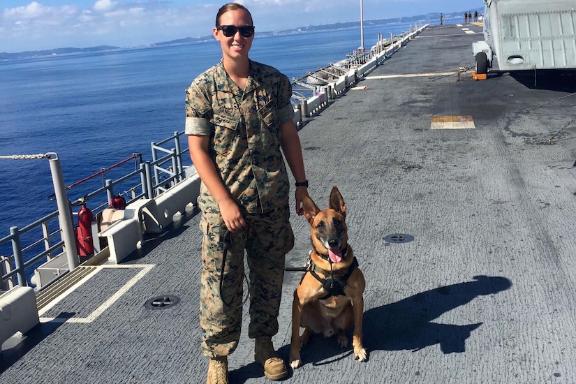 A Marine poses for a photo next to a dog.