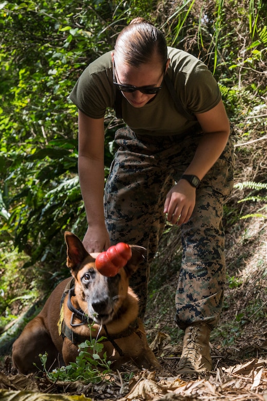 A Marine pets a dog.