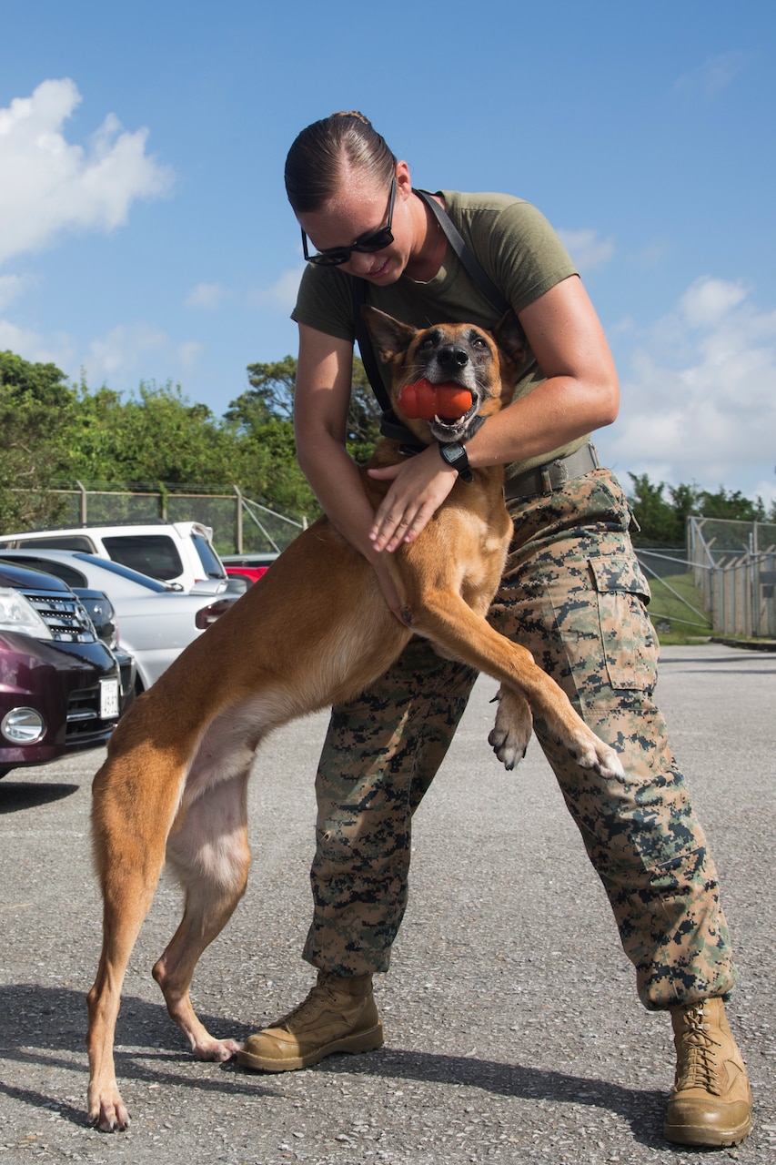 A Marine hugs a dog.