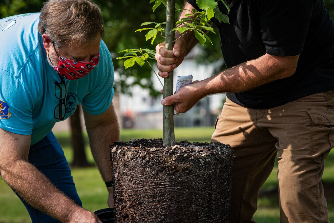 A photo of the environmental element chief and base forester removing a tree from a bucket