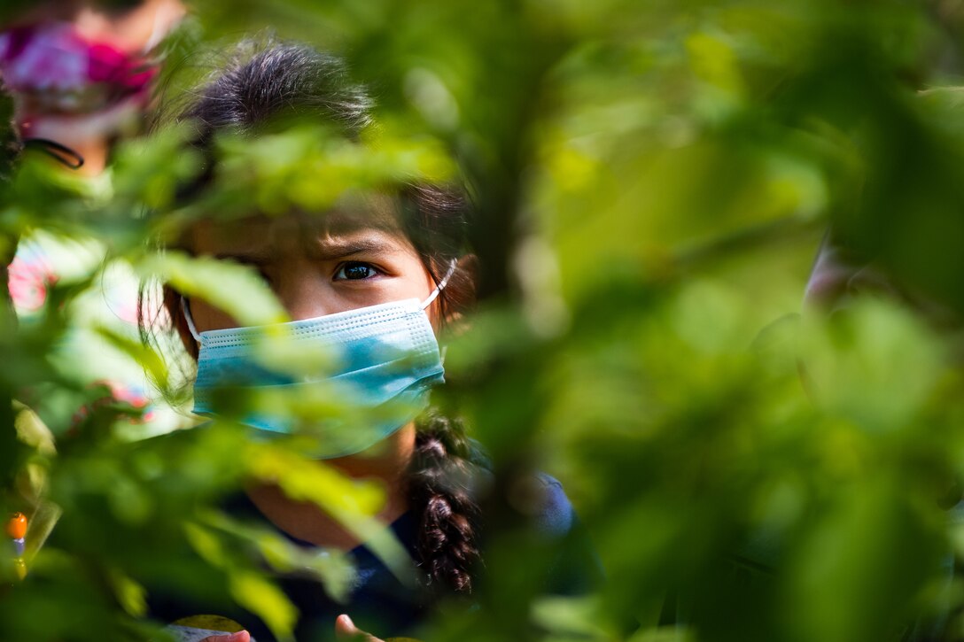 A photo of a child looking at a tree