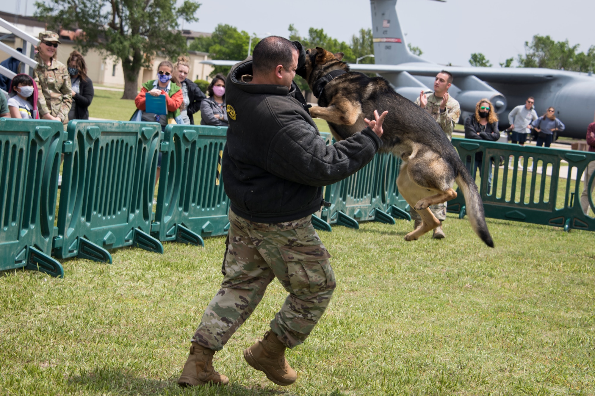 Bingo, a 97th Air Mobility Wing military working dog, takes down a simulated perpetrator during a demonstration to fifth-grade students, April 29, 2021, at Altus Air Force Base, Oklahoma. The demonstration showcased the capabilities of the working dogs and their handlers. (U.S. Air Force photo by Airman 1st Class Amanda Lovelace)