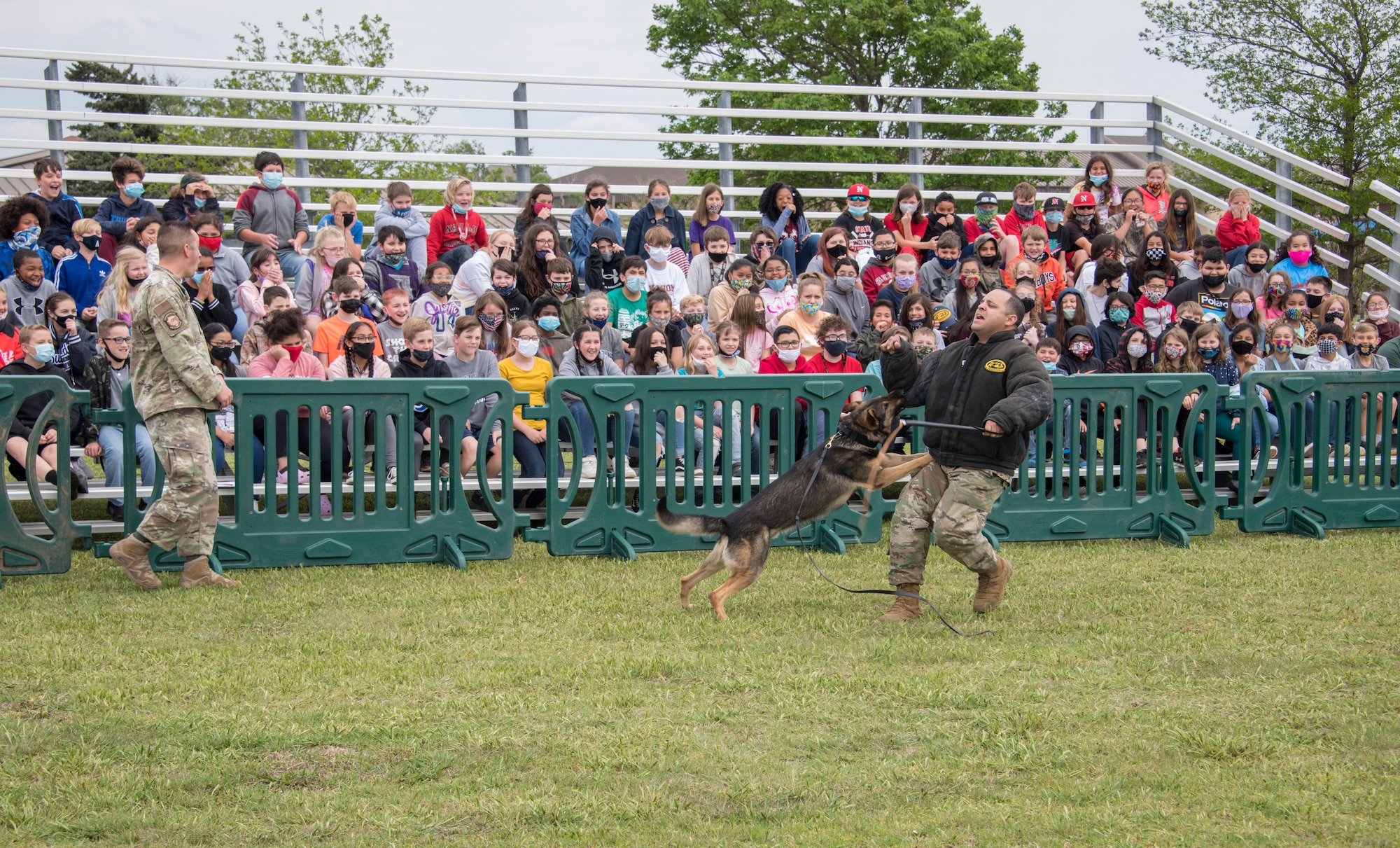 Bingo, a 97th Air Mobility Wing military working dog, takes down a simulated perpetrator during a demonstration to fifth-grade students, April 29, 2021, at Altus Air Force Base, Oklahoma. Bingo showcased his obedience and threat response training, demonstrating the abilities of military working dogs to keep the local community safe. (U.S. Air Force photo by Airman 1st Class Amanda Lovelace)