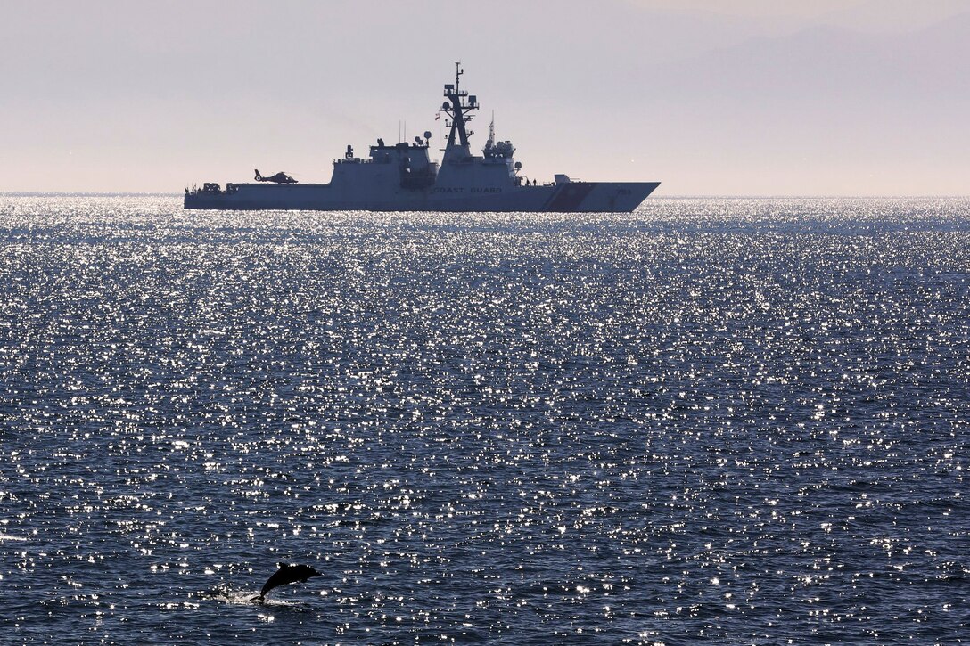 A Coast Guard cutter sails in sparkling waters in the distance as a dolphin leaps in the foreground.