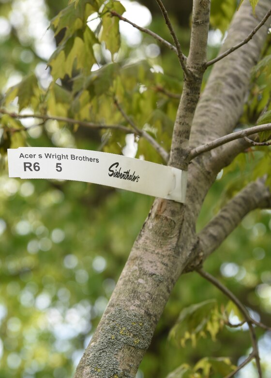 Wright-Patt marks Arbor Day with tree planting > Wright ...