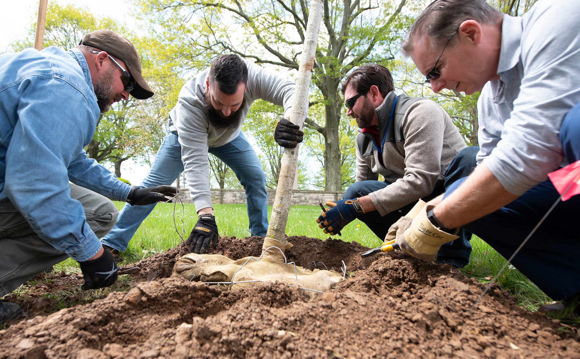 A group of volunteers plant a Wright Brothers Sugar Maple in a pre-dug hole at the Wright Brothers Memorial on Wright-Patterson Air Force Base, Ohio, April 30, 2021. The event was part of the base’s annual Arbor Day observation. (U.S. Air Force photo by R.J. Oriez)