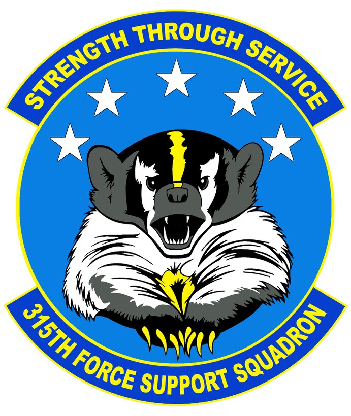 315th Force Support Squadron Patch