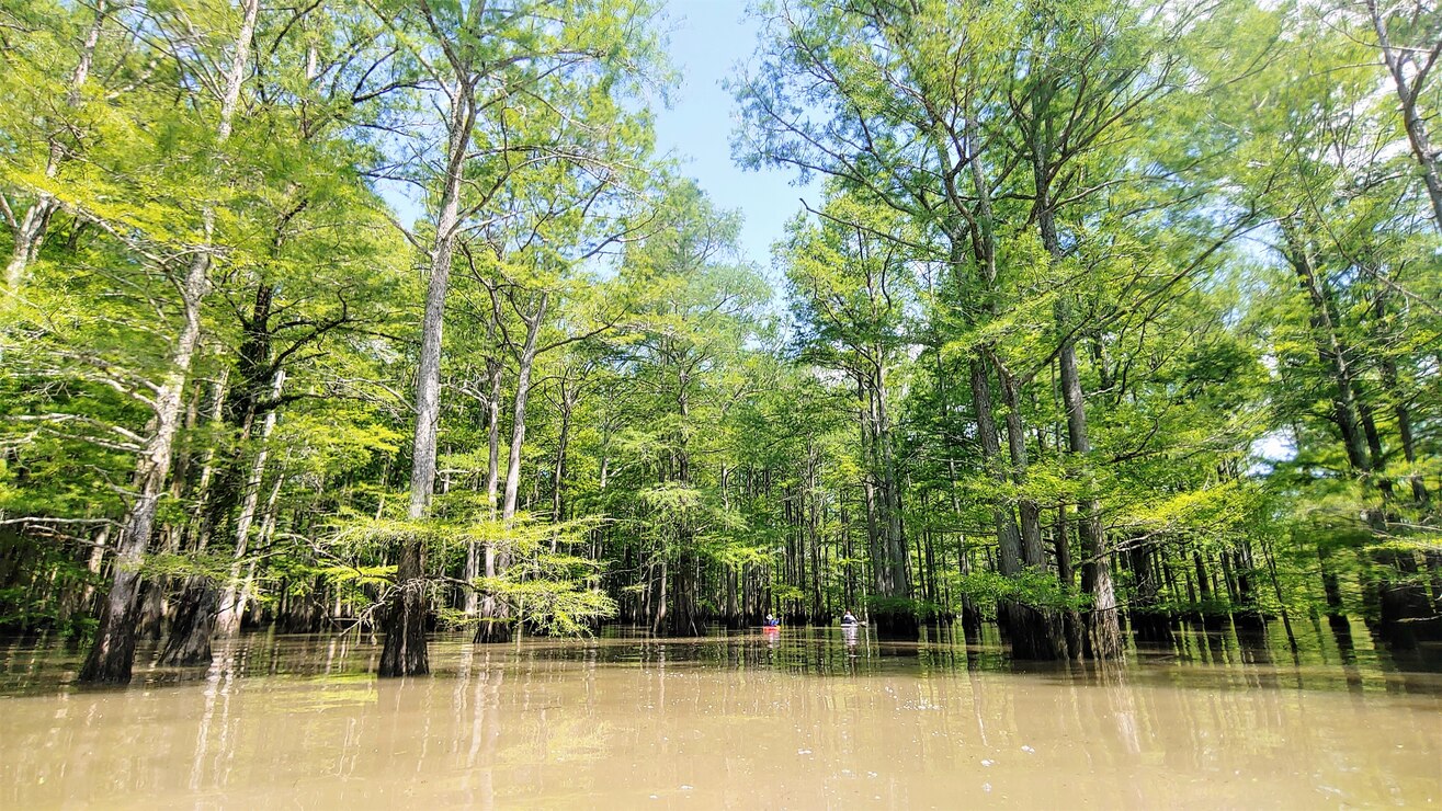 Photos are of the water trails located in Arkansas.