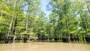 Photos are of the water trails located in Arkansas.