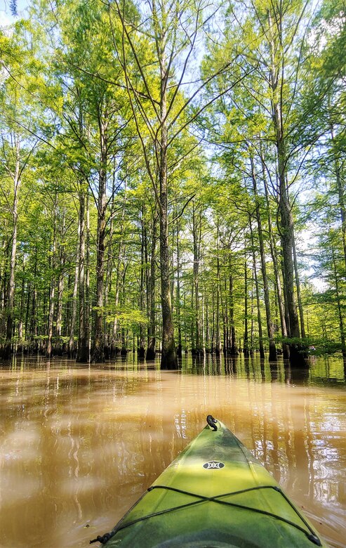 Photos are of the water trails located in Arkansas.