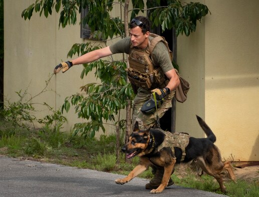 K-9 competition