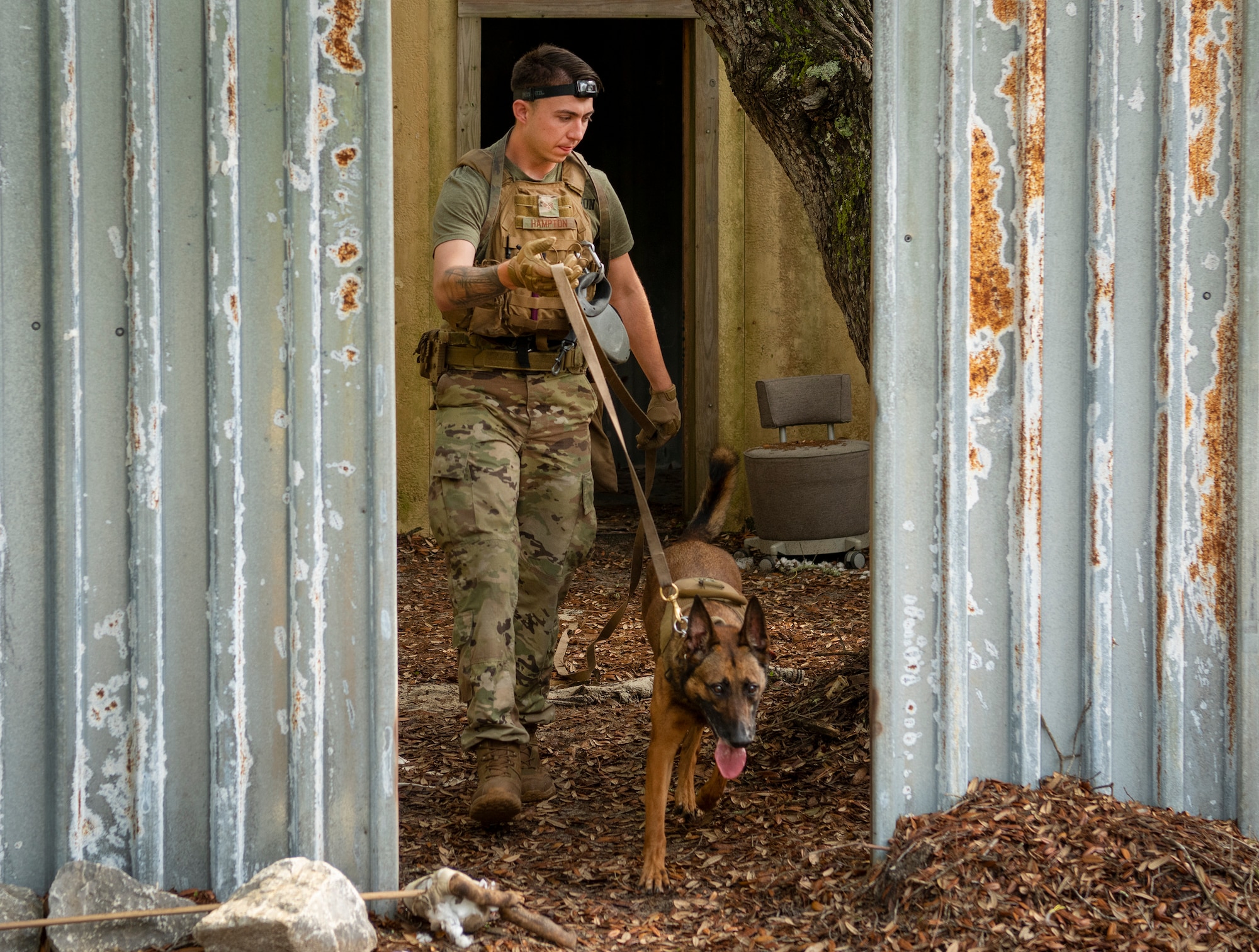 K-9 competition
